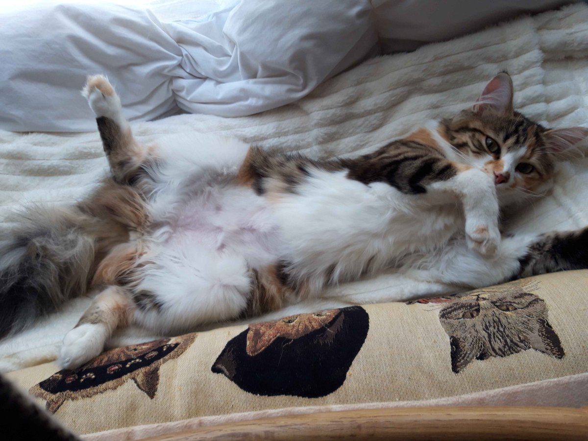 Valmuh / Final tweet media