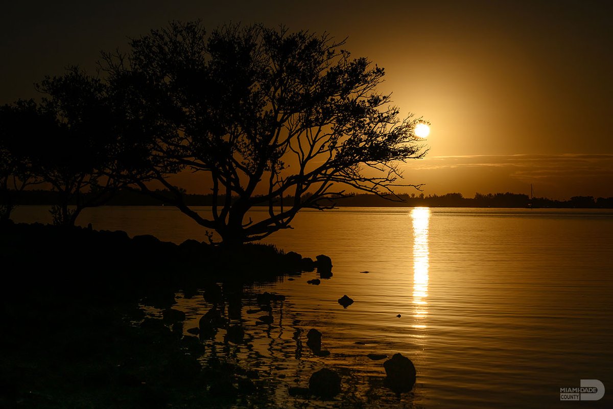 Miami-Dade County tweet media