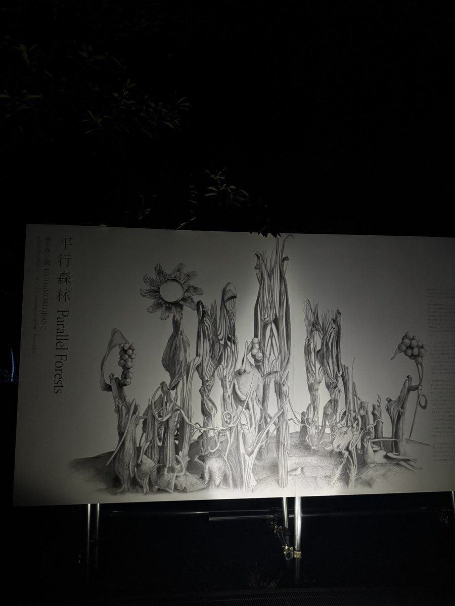 ダビドDトマコ tweet media