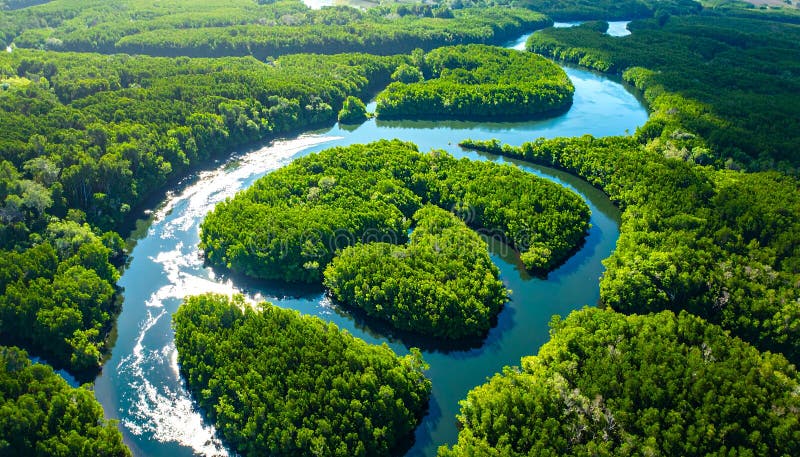 RabiaSheik54942's tweet image. #Protecting our remaining #forests is not an option; it is a @survival #strategy. It is the cheapest, fastest, and most effective climate solution we have. Stop the greed. Respect the future. Defend the trees. #ClimateAction #Forests #Sustainability #FutureGenerations