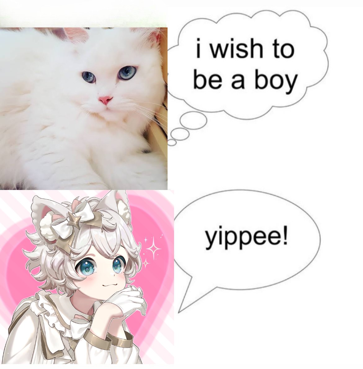 Solva 💮🩷【Autistic Femboy】 tweet media