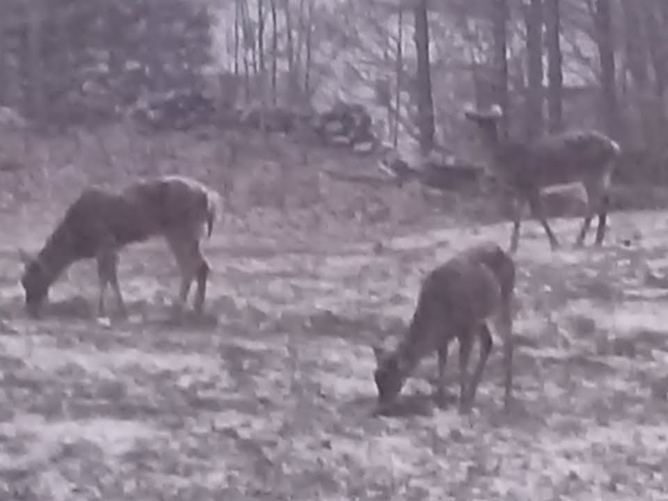 Anything Goes tweet media