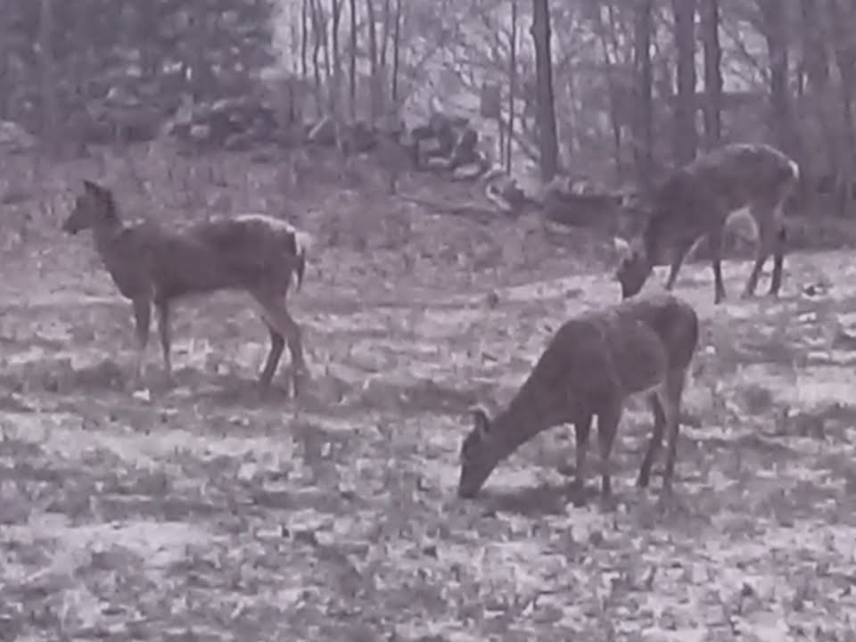 Anything Goes tweet media