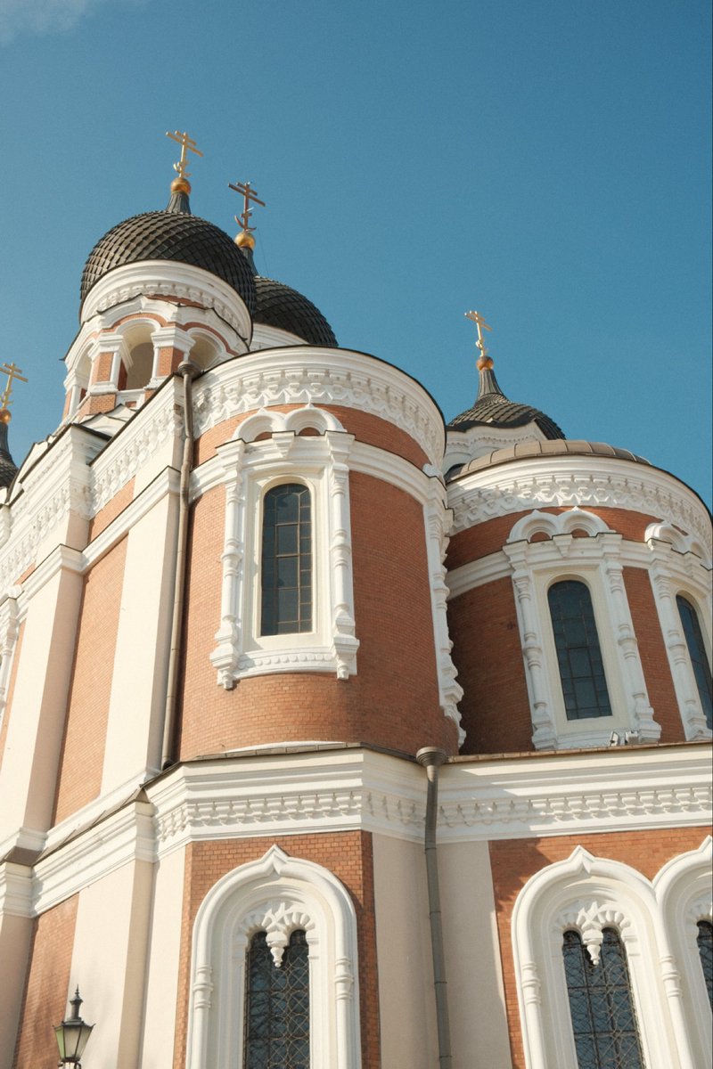 Alexandra Semenova tweet media