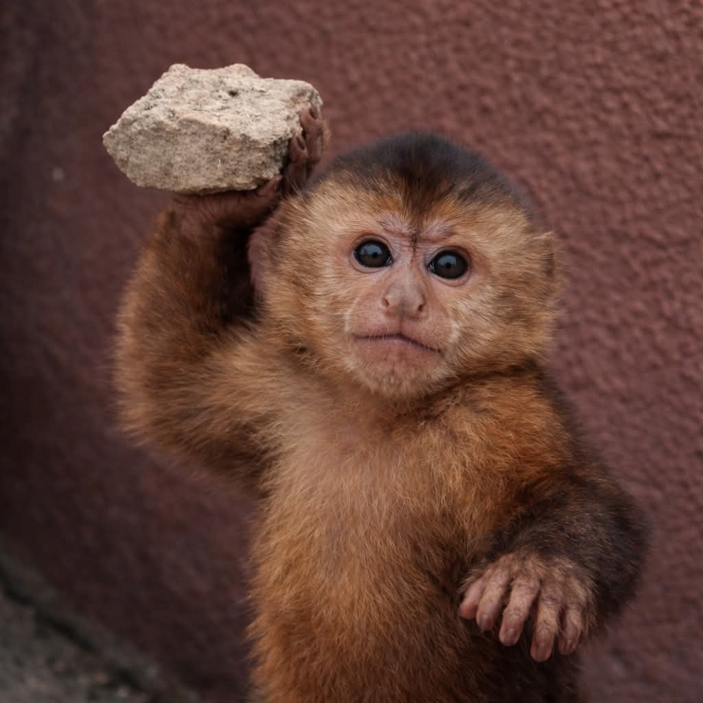 Alejandra tweet media