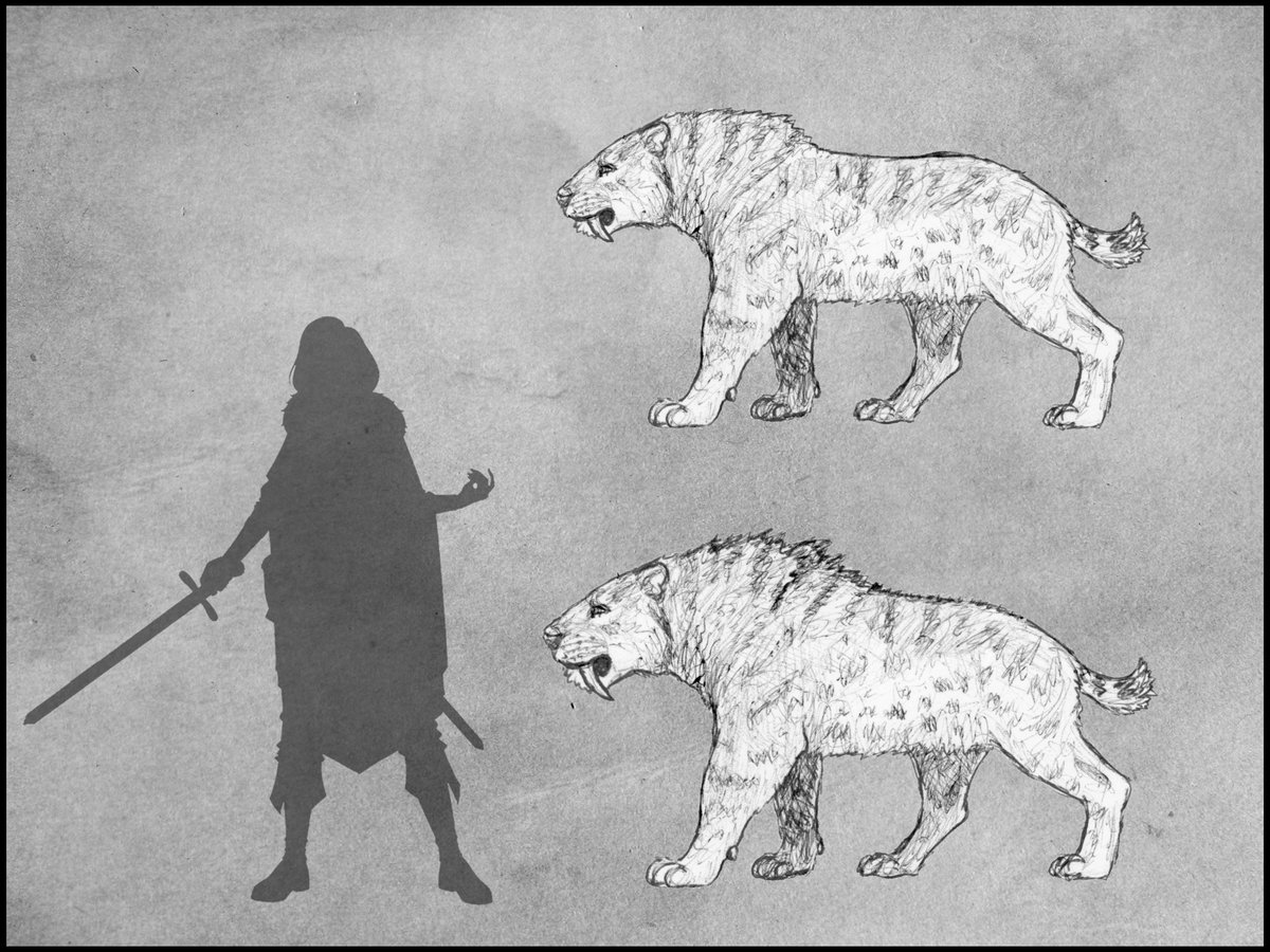 Spectra Warrior tweet media