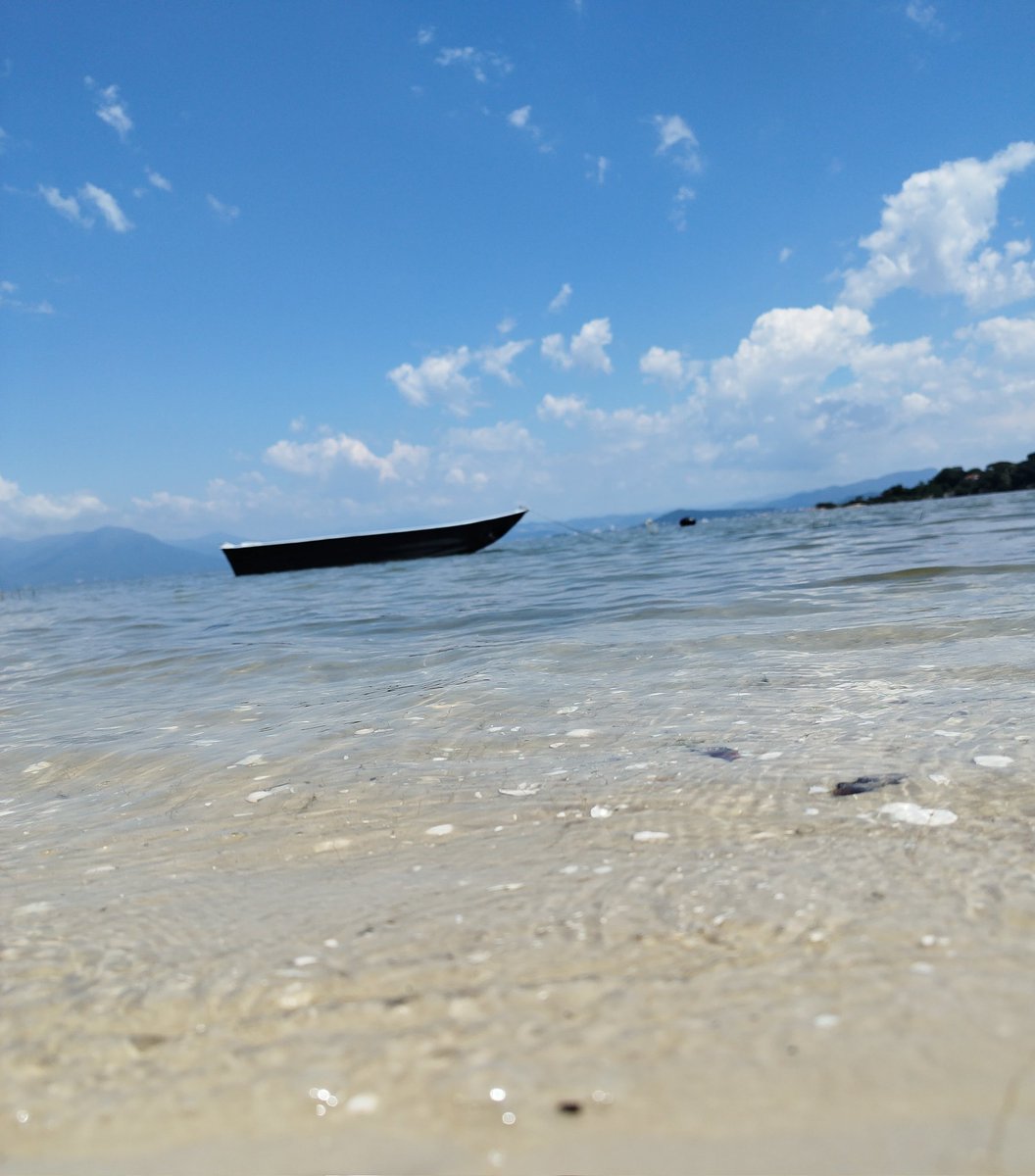 Mario Neto tweet media