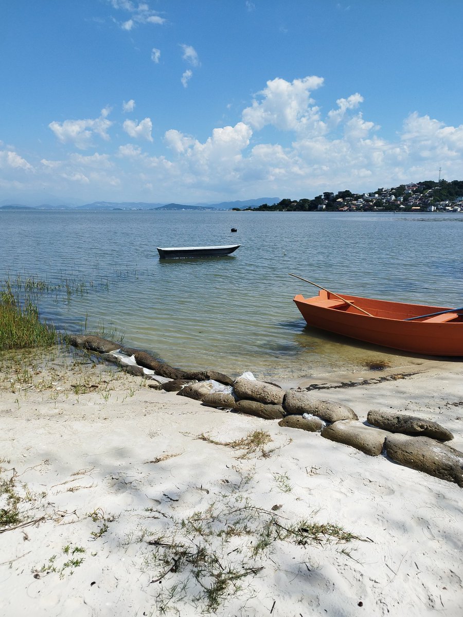 Mario Neto tweet media