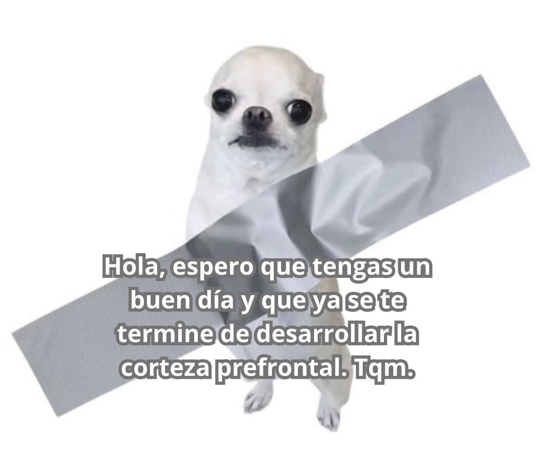 emociones amarillas (@conoloracigarro) on Twitter photo 