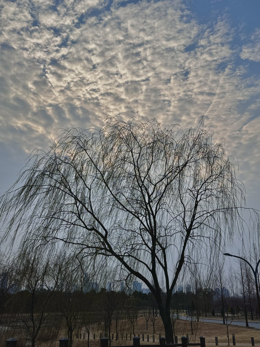 🌙창작자:꽃타래_Flowery Knots✨ tweet media