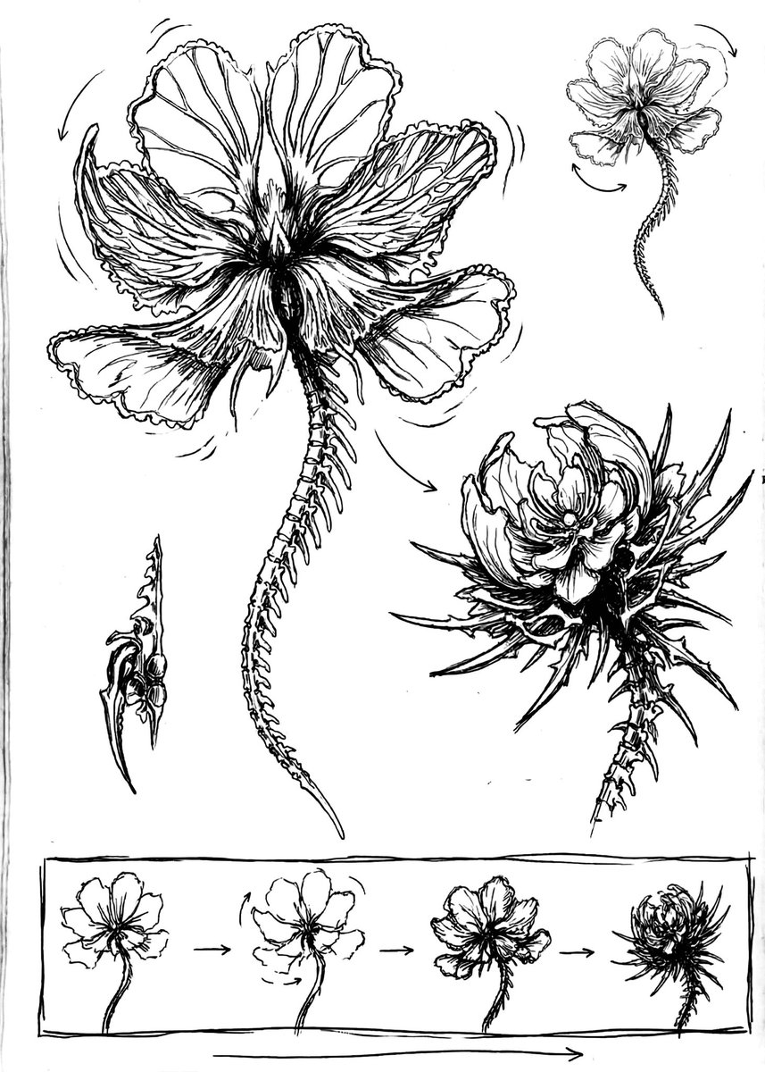 Arseniy Valter tweet media