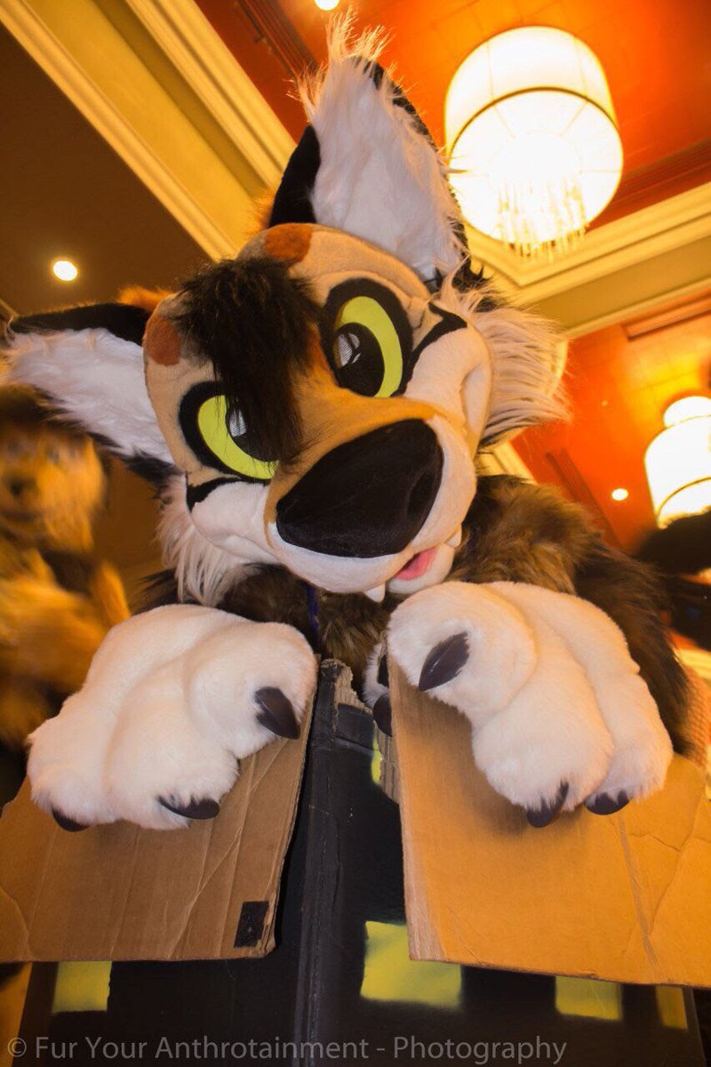 Tundru 🔜 LVFC tweet media