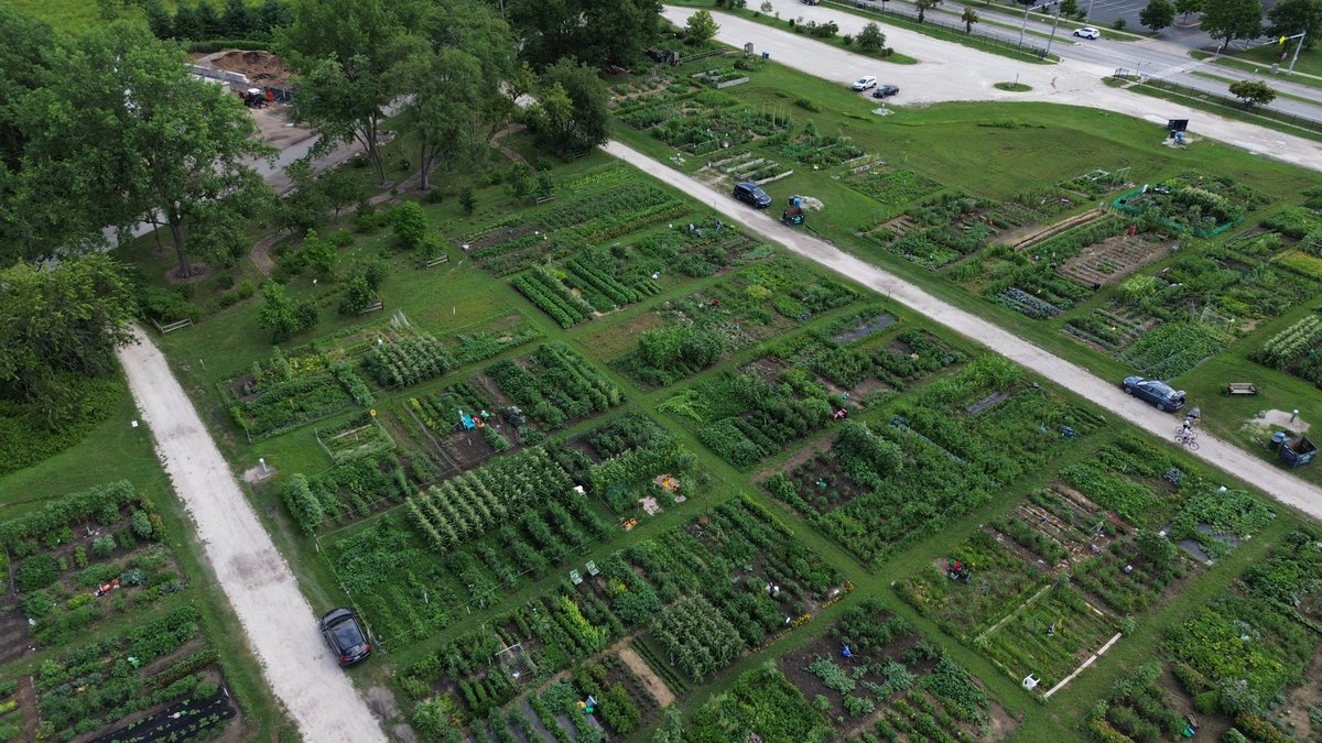 Naperville Park District tweet media