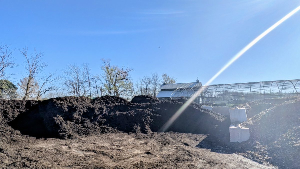 Andrew Healey tweet media