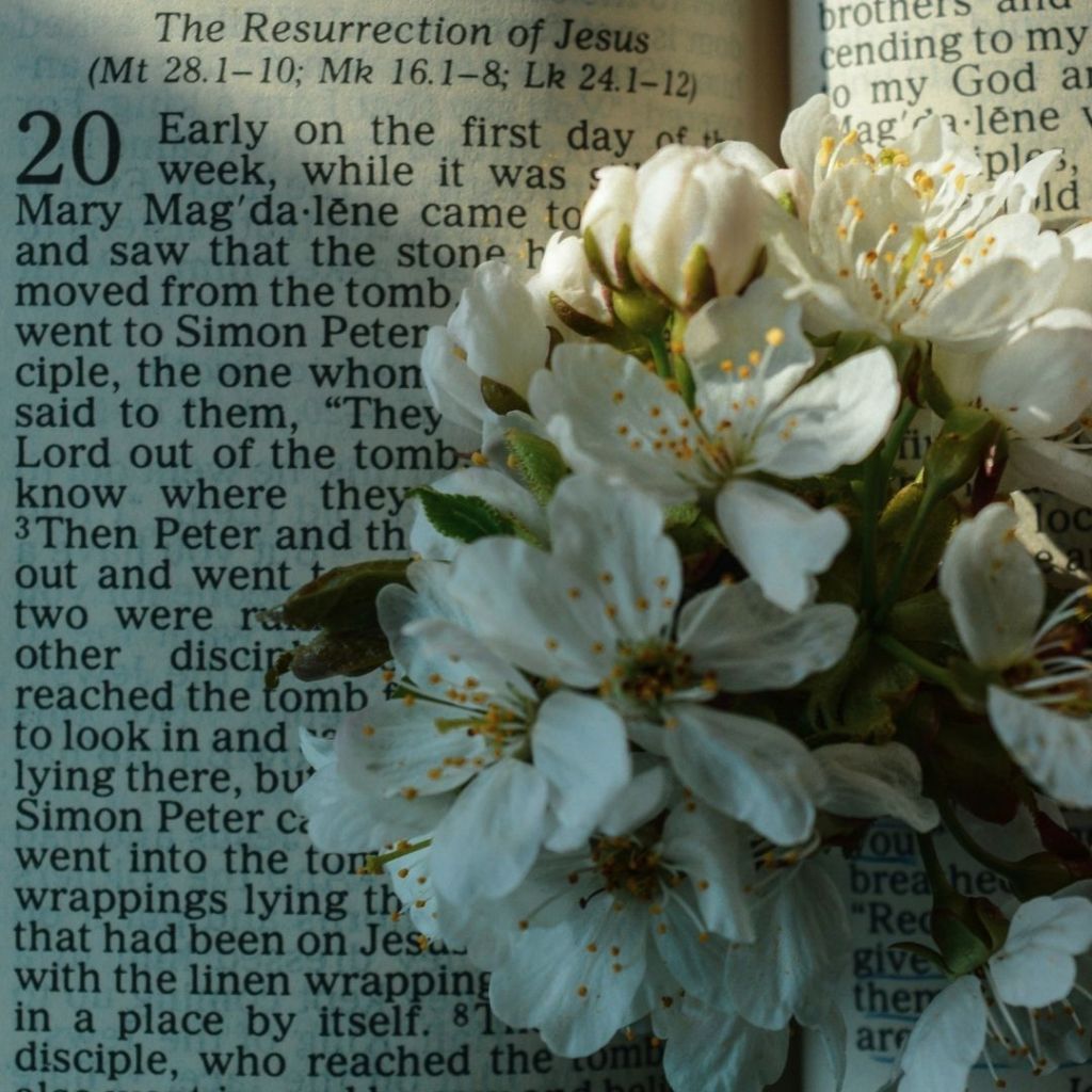 Maree Dee tweet media