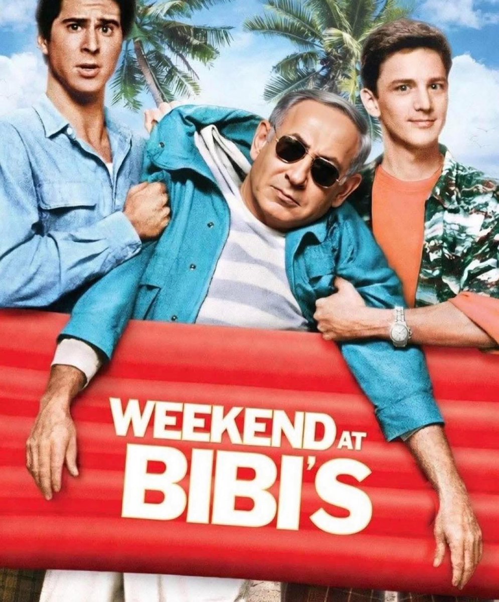 melissa cox 🇵🇸 (@melissamerica02) on Twitter photo 