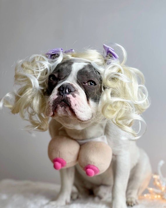 矮仔CW tweet media