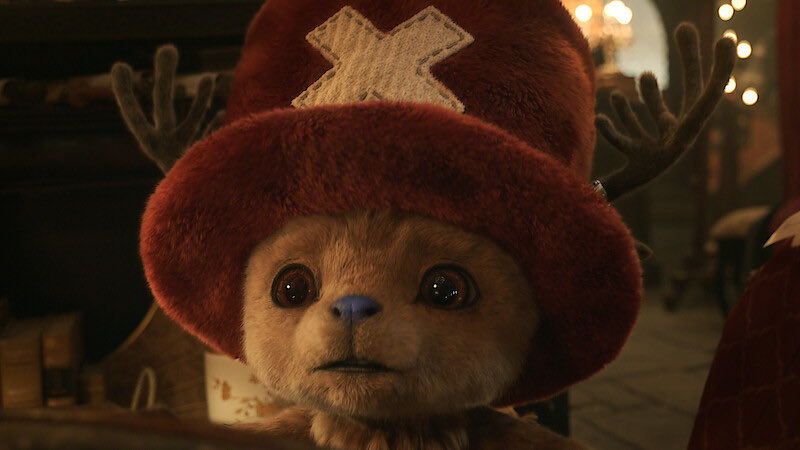 namizorel's tweet photo. my favourite new addition to the cast https://t.co/IQZu5YCQMK
