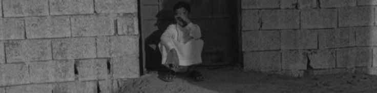 𝘴𝘪𝘭𝘦𝘯𝘵 𝘱𝘦𝘵𝘢𝘭𝘴 tweet media