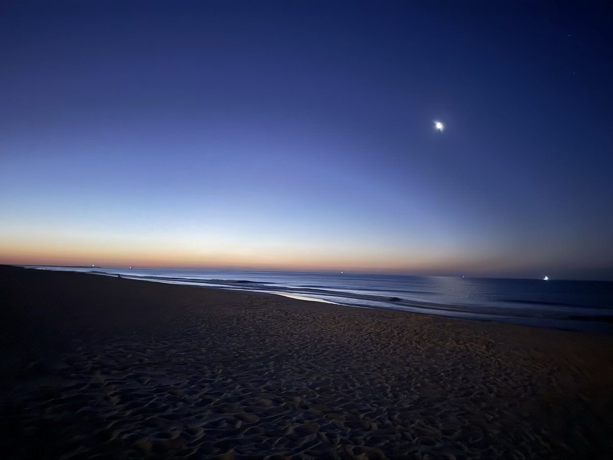 Ashley 🇺🇸 tweet media