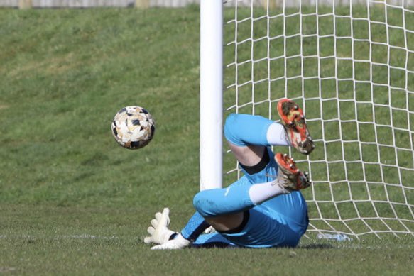 Gavin_Pics tweet media