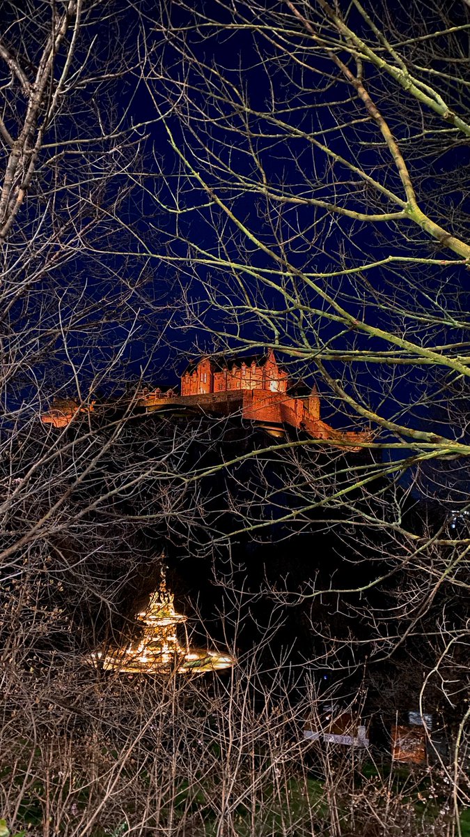 عِصام 🩺 tweet media