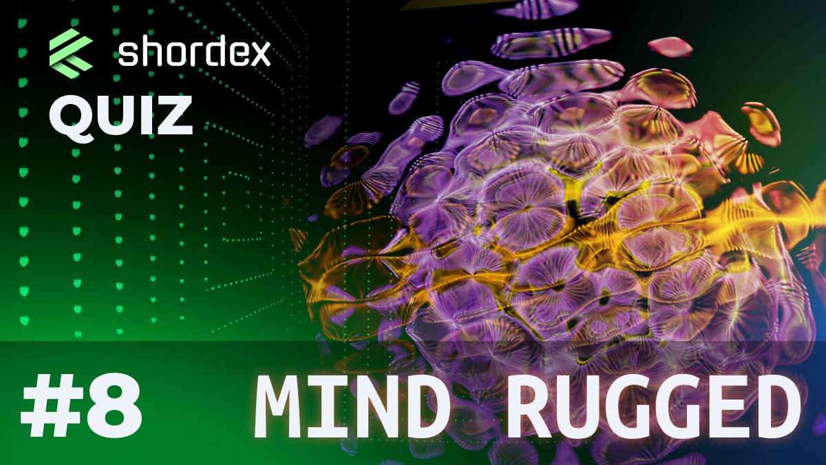 Shordex | Yellow Accelerator tweet media