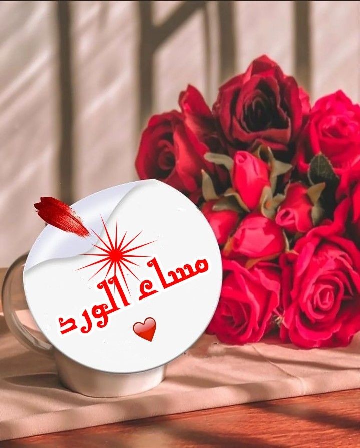 💙🔸🌼Salma Soo🌼🔸💙 tweet media