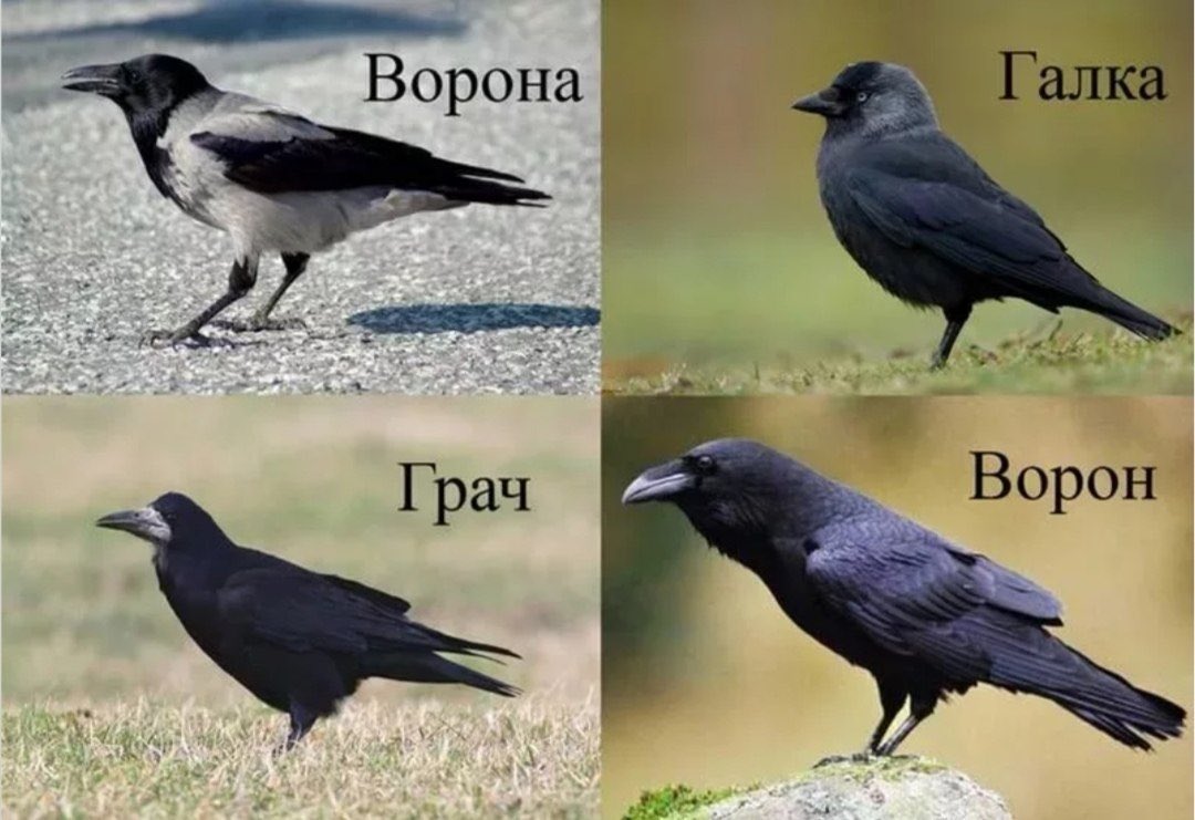 Татьяна tweet media