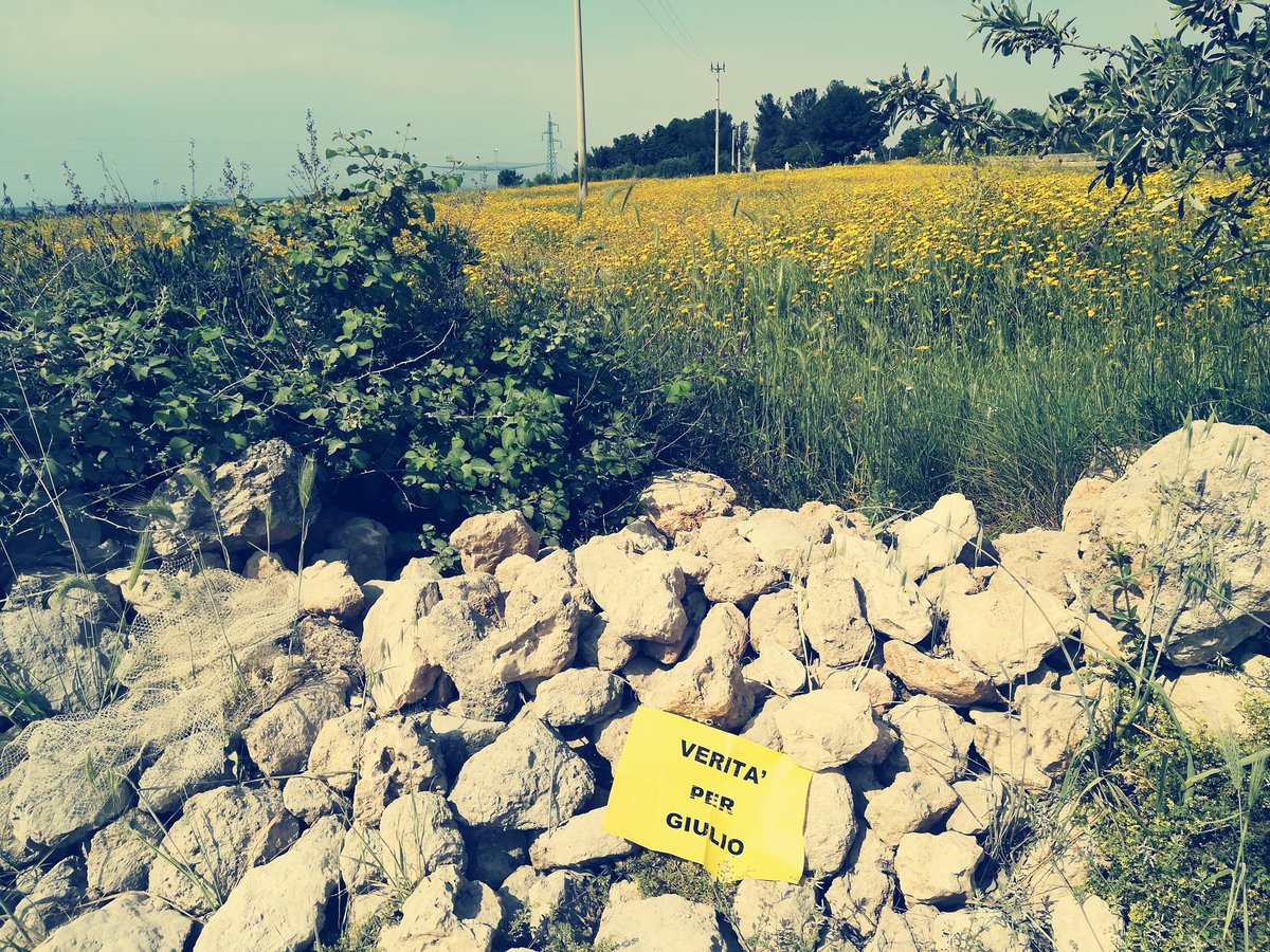 #14marzo, nella #Giornatamondialedelpaesaggio, aspettiamo la primavera, e ricordiamo che questa 
giornata è quella in cui ribadiamo che la #scortamediatica è accanto alla famiglia Regeni ogni giorno 
Da 10 anni, e fino alla #VeritaeGiustiziaperGiulio