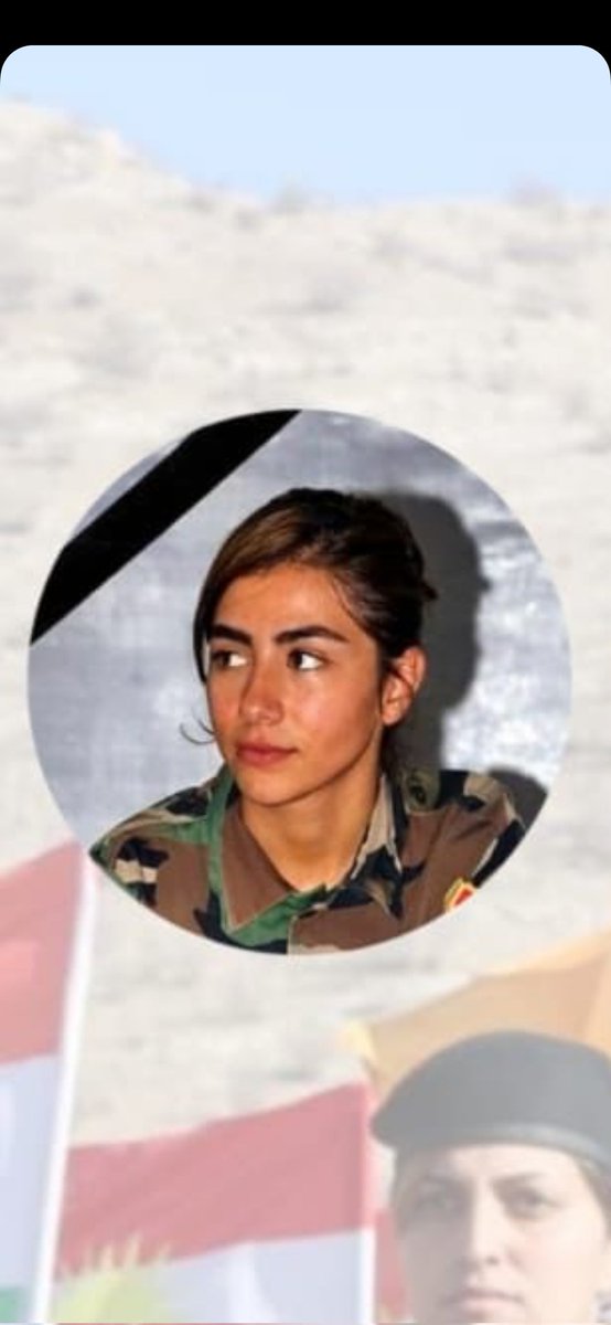 Hiwa mar tweet media