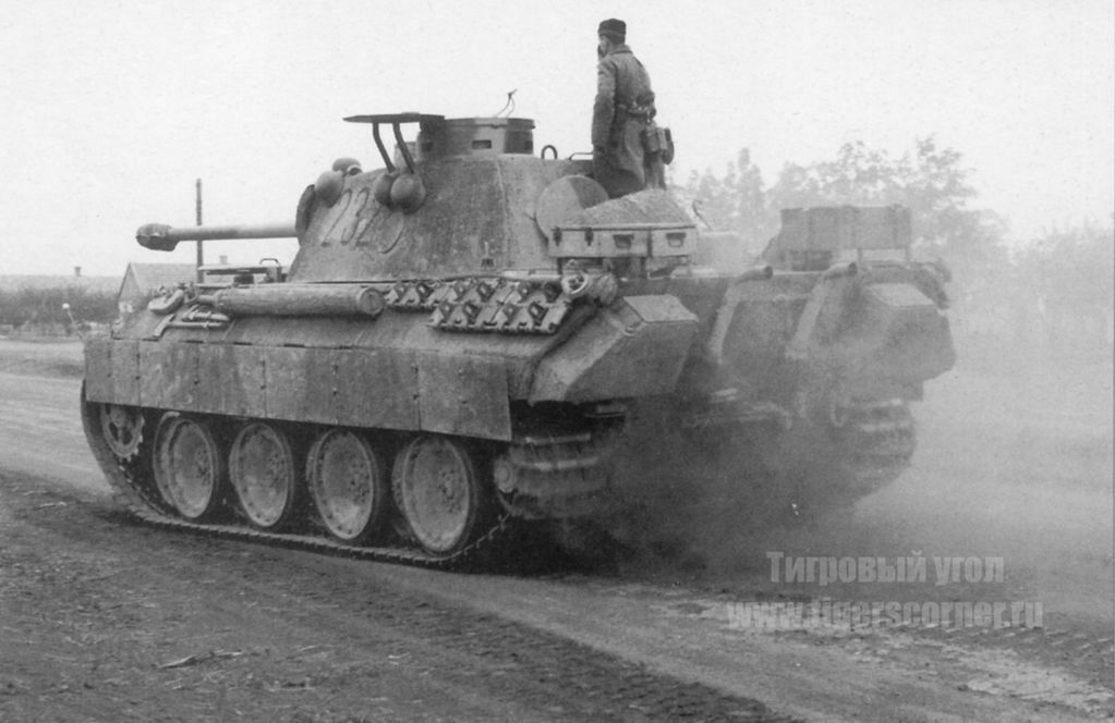 DulceBellum1944's tweet image. #Panther