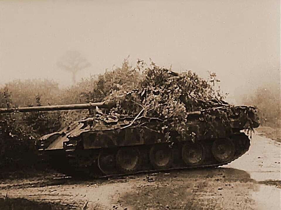 DulceBellum1944's tweet image. #Panther