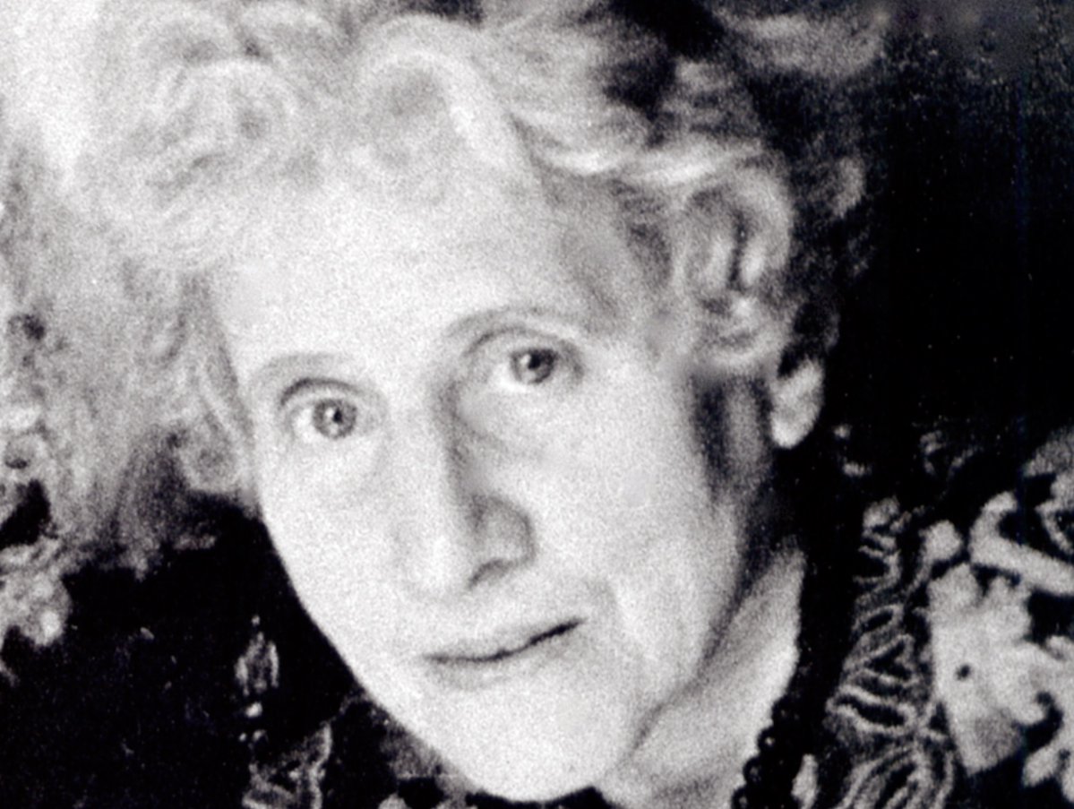 PRIMAVERA tweet media