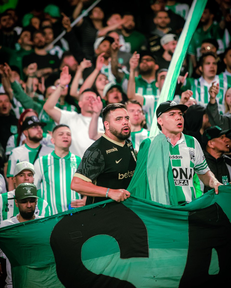 Blog Verdolaga tweet media