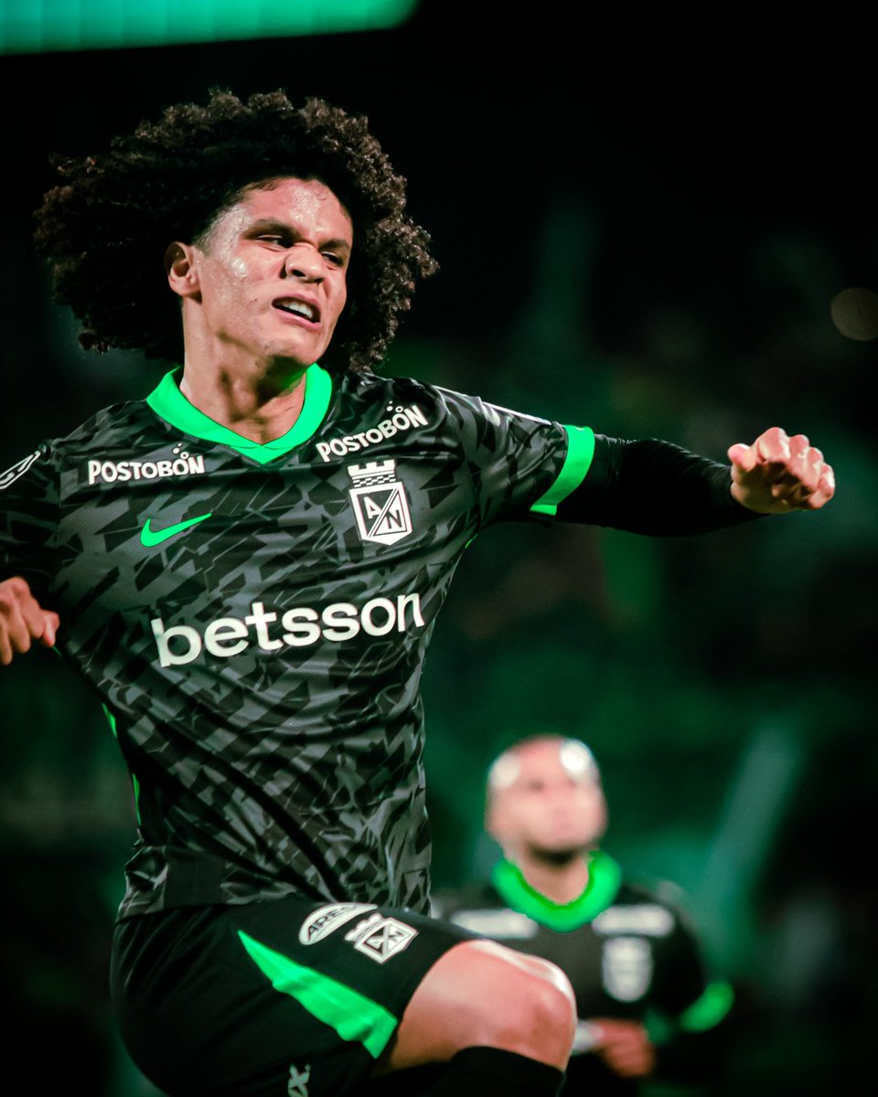 Blog Verdolaga tweet media