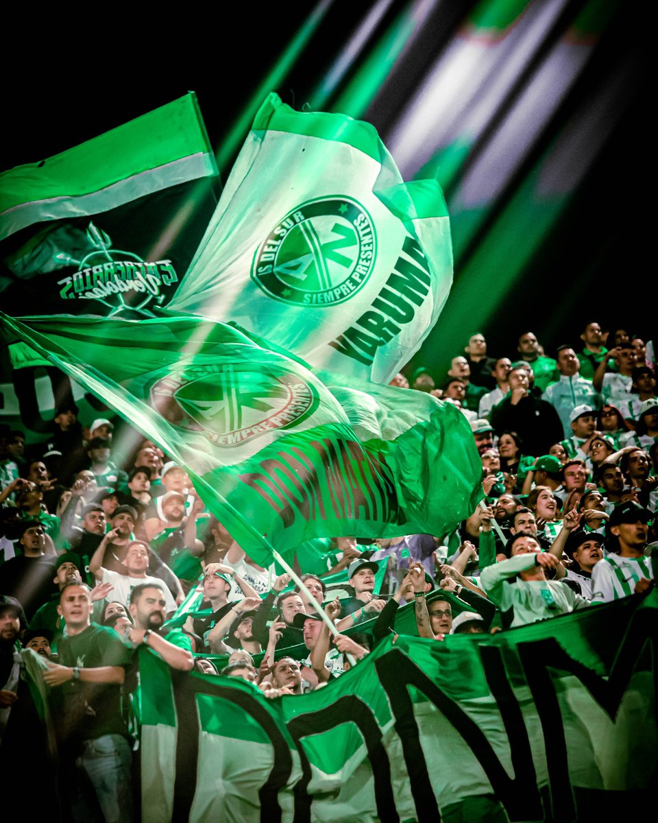 Blog Verdolaga tweet media