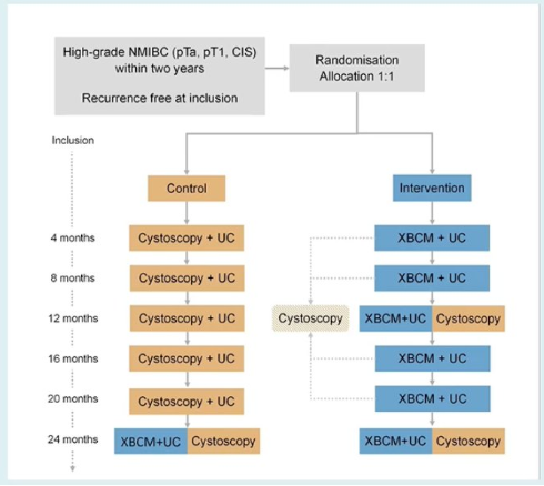 UroToday.com tweet media