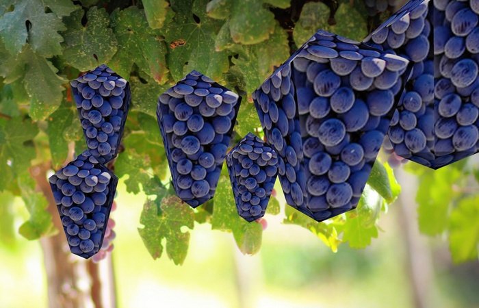 pikuma.com tweet media