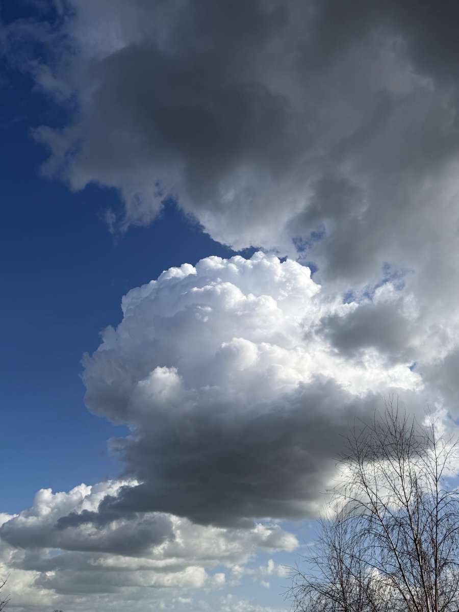 Neha Sharma tweet media