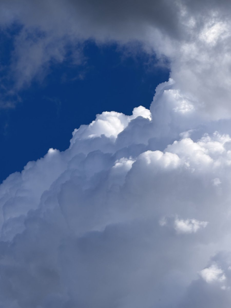 Neha Sharma tweet media