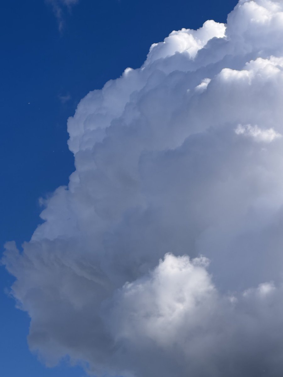 Neha Sharma tweet media