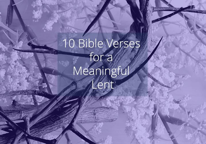 CATWorldMission tweet media