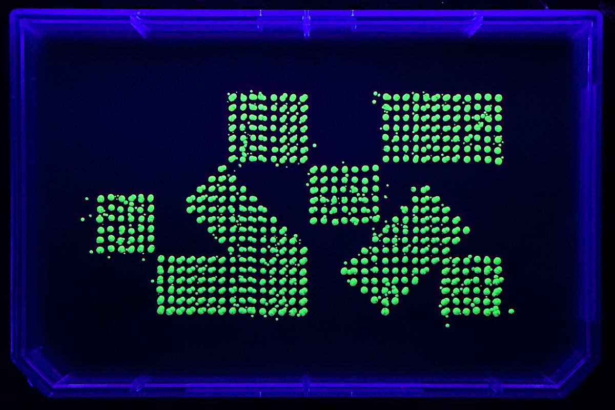 Sekiguchi Genetics fan art for <a href="/MarathonTheGame/">Marathon</a> I made from genetically engineered E. coli, via the cloud lab <a href="/Ginkgo/">Ginkgo Bioworks</a> #marathon #fanart