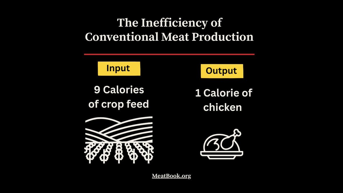 Bruce Friedrich 🔸 tweet media