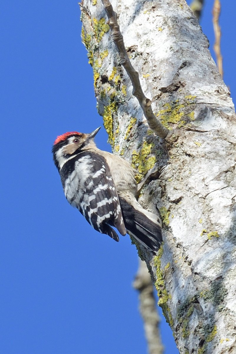 Rob Holmes tweet media