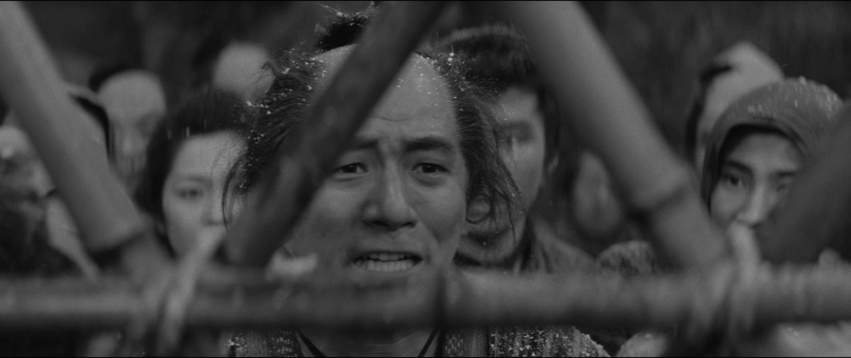 DVDBeaver tweet media