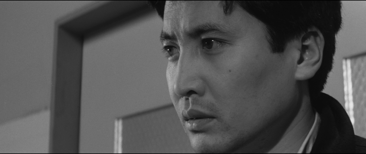 DVDBeaver tweet media