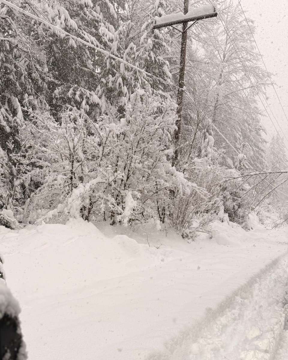 Puget Sound Energy tweet media