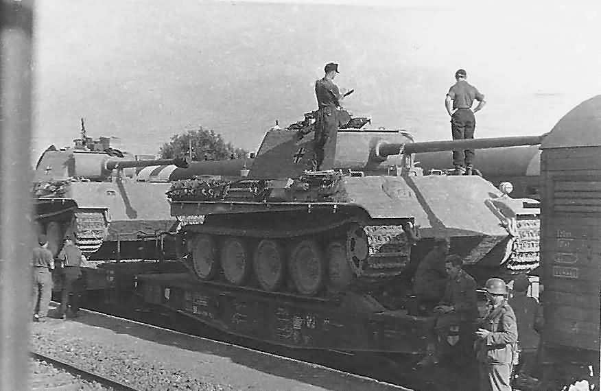 DulceBellum1944's tweet image. #Panther